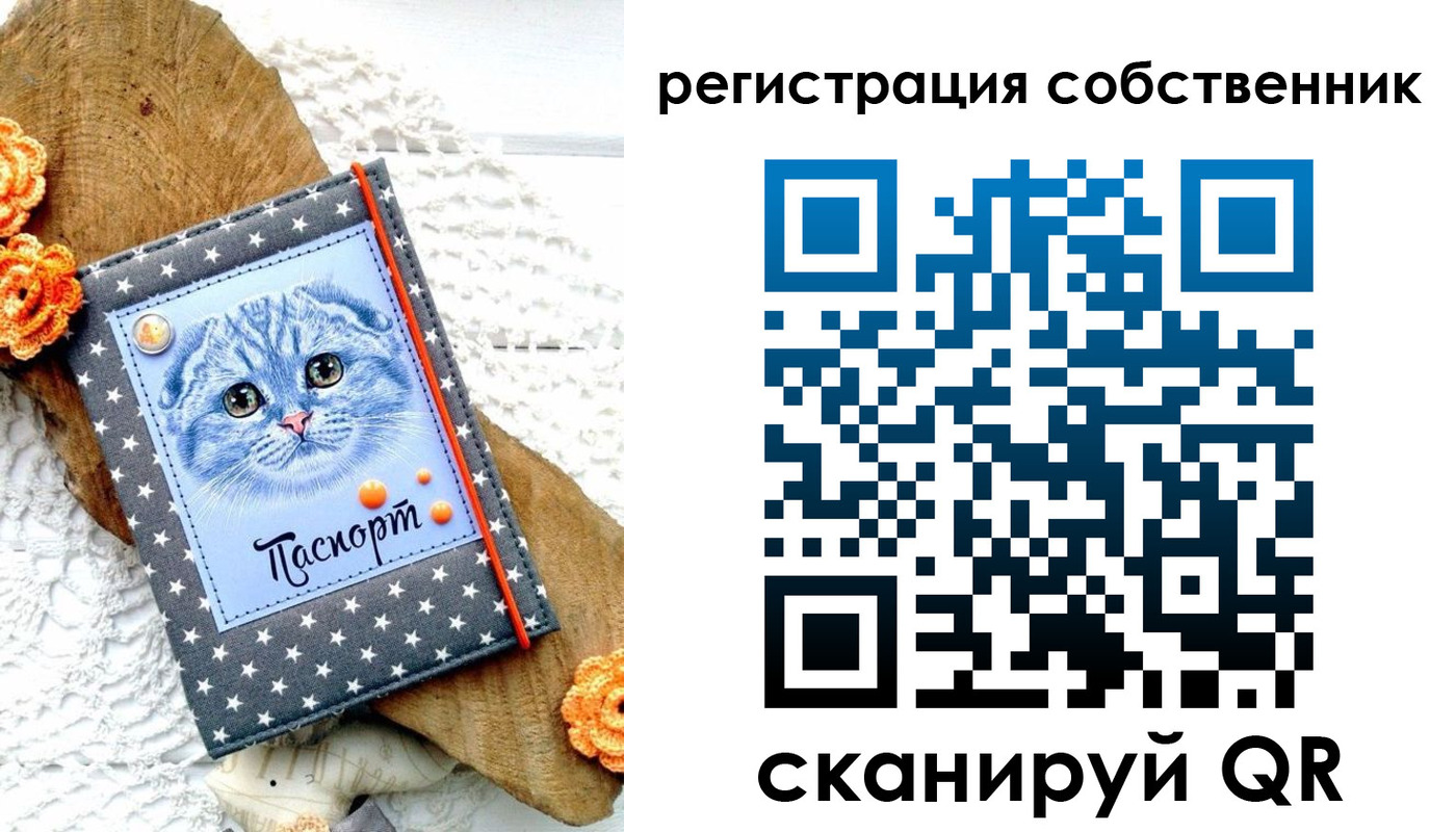 прописка для работы в Карабаново